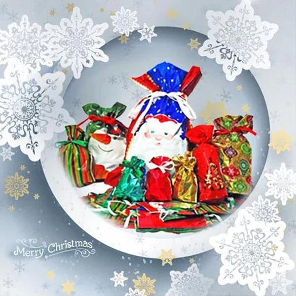 Drawstring Christmas Gift Bags 15 Sets Reusable Laminated Polypropylene Gift Wrap Bags with Tags