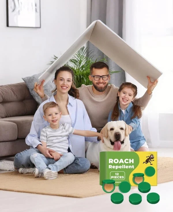 Discreet Adhesive Cockroach Bait Stations, Low-Odor Formula, Set of Twelve Traps