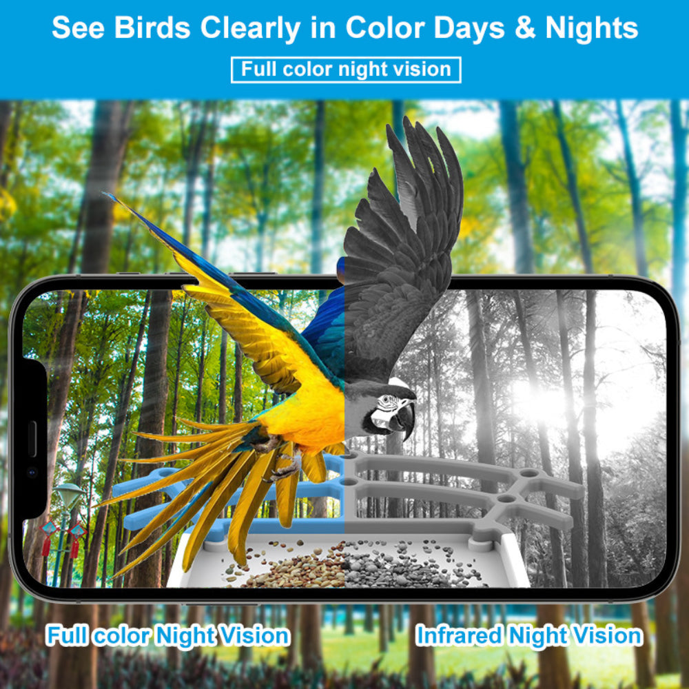 Smart Bird Feeder Camera