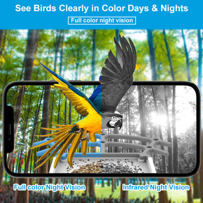Smart Bird Feeder Camera