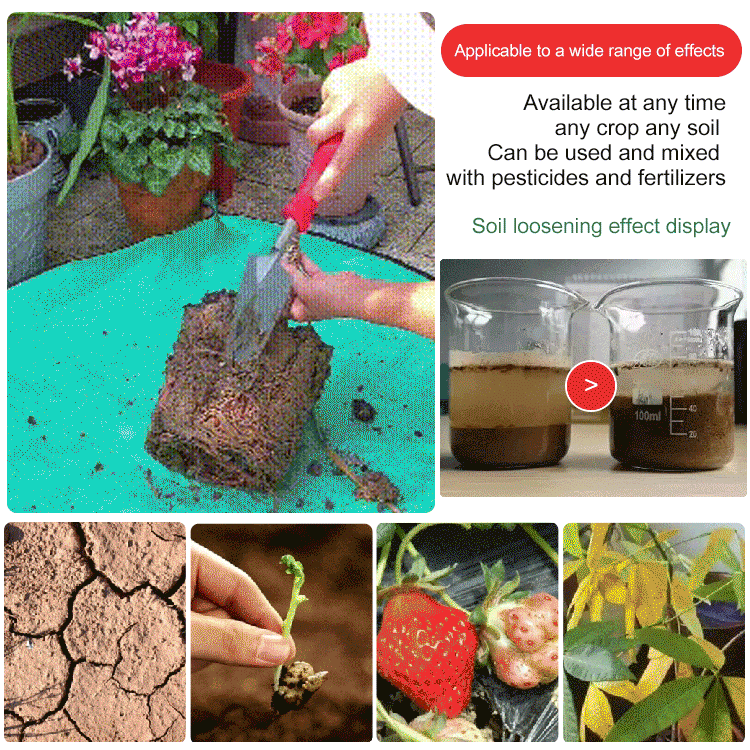 Potassium Mineral Soil Improvement Powder for Root-Zone Care in Beds and Containers