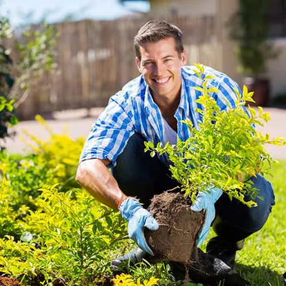Potassium Mineral Soil Improvement Powder for Root-Zone Care in Beds and Containers