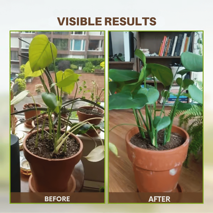 Potassium Mineral Soil Improvement Powder for Root-Zone Care in Beds and Containers