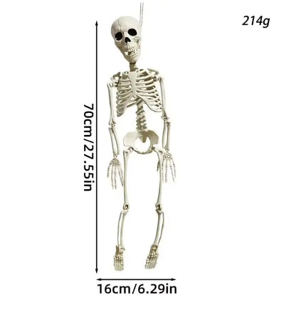 Posable Halloween Skeleton Decoration, Fully Articulated Skeleton Prop, 4 Sizes, 40 cm to 165 cm