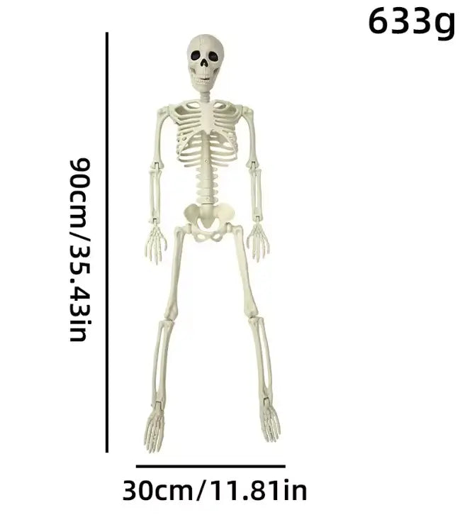 Posable Halloween Skeleton Decoration, Fully Articulated Skeleton Prop, 4 Sizes, 40 cm to 165 cm