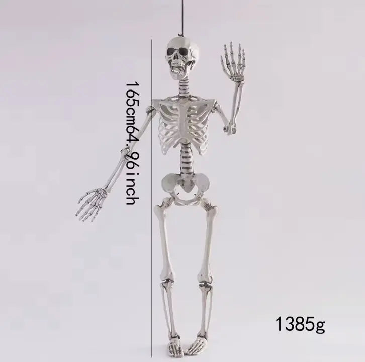 Posable Halloween Skeleton Decoration, Fully Articulated Skeleton Prop, 4 Sizes, 40 cm to 165 cm