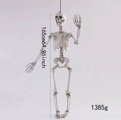 Posable Halloween Skeleton Decoration, Fully Articulated Skeleton Prop, 4 Sizes, 40 cm to 165 cm