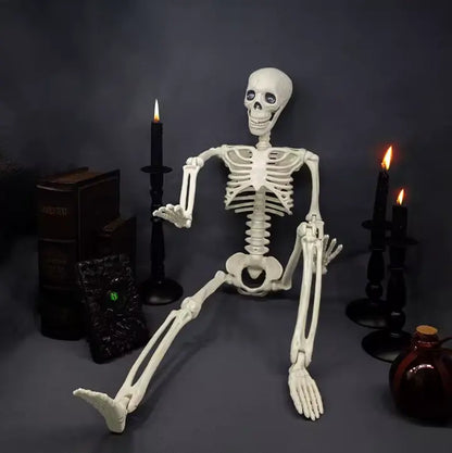 Posable Halloween Skeleton Decoration, Fully Articulated Skeleton Prop, 4 Sizes, 40 cm to 165 cm