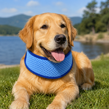 Adjustable Pet Cooling Scarf for Dogs and Cats, Instant Ice Cooling Breathable Bandana, S to XL
