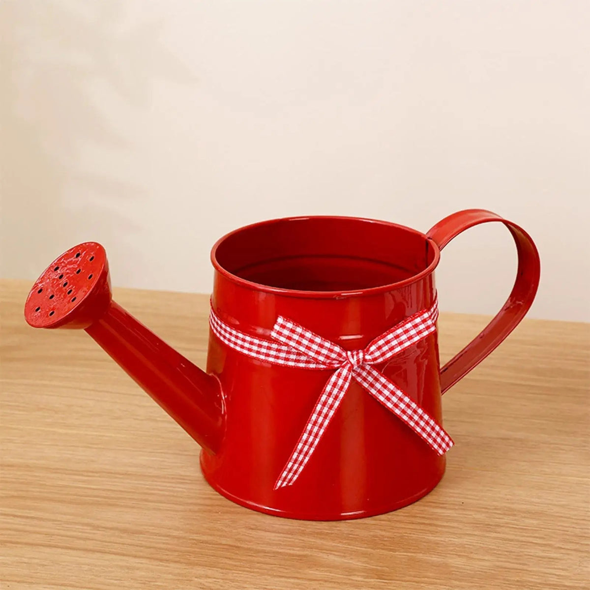 Decorative Metal Watering Can with Gentle Shower Head for Balcony and Terrace Plants