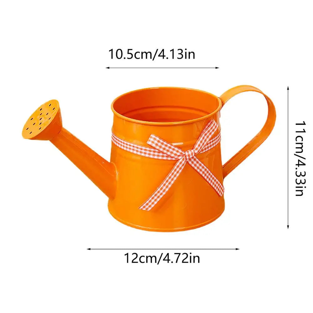 Decorative Metal Watering Can with Gentle Shower Head for Balcony and Terrace Plants