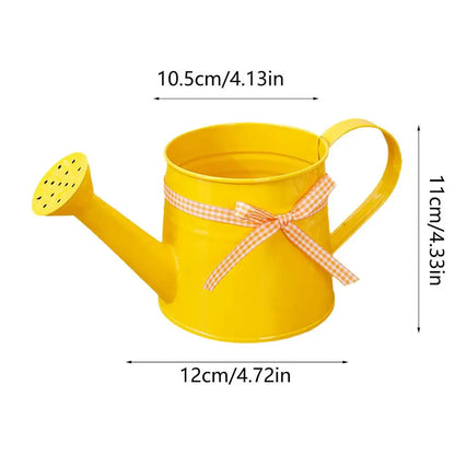 Decorative Metal Watering Can with Gentle Shower Head for Balcony and Terrace Plants