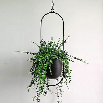 Hanging Iron Planter