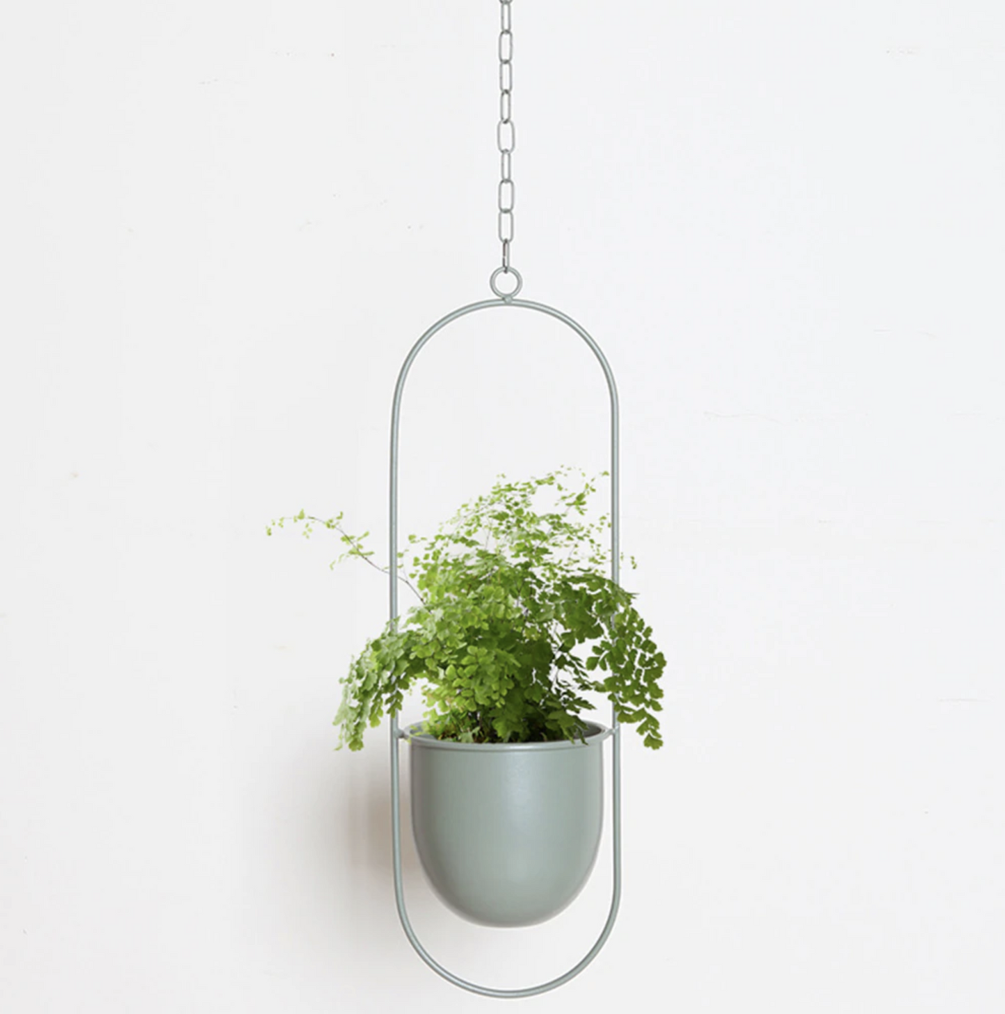 Hanging Iron Planter