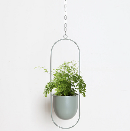 Hanging Iron Planter