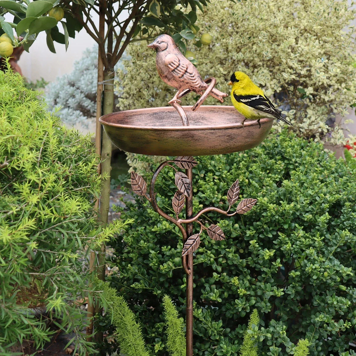 Freestanding Garden Bird Bath with Decorative Bowl and Sturdy Multi-Pronged Ground Spike
