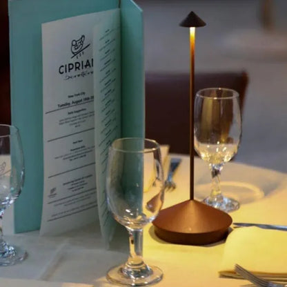 Wireless Dimmable LED Lamp with Rechargeable Battery and Touch Control Operation