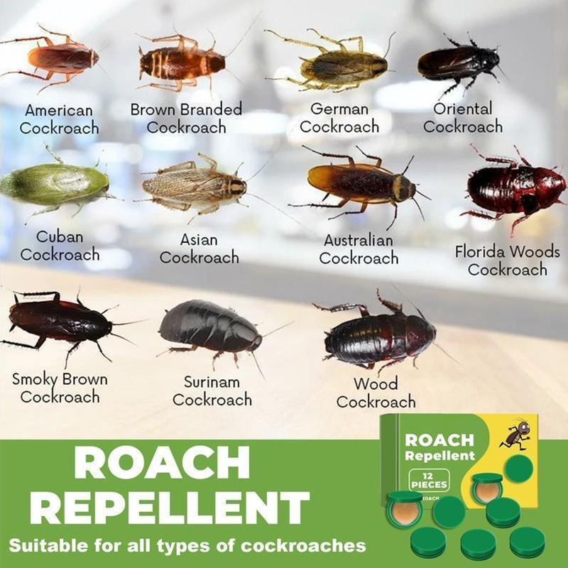 Discreet Adhesive Cockroach Bait Stations, Low-Odor Formula, Set of Twelve Traps