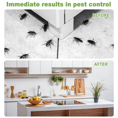 Discreet Adhesive Cockroach Bait Stations, Low-Odor Formula, Set of Twelve Traps