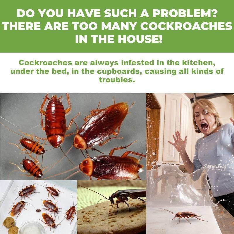 Discreet Adhesive Cockroach Bait Stations, Low-Odor Formula, Set of Twelve Traps
