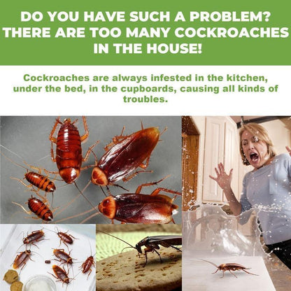 Discreet Adhesive Cockroach Bait Stations, Low-Odor Formula, Set of Twelve Traps