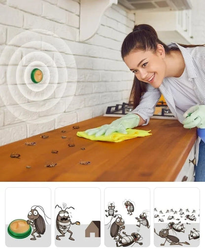 Discreet Adhesive Cockroach Bait Stations, Low-Odor Formula, Set of Twelve Traps
