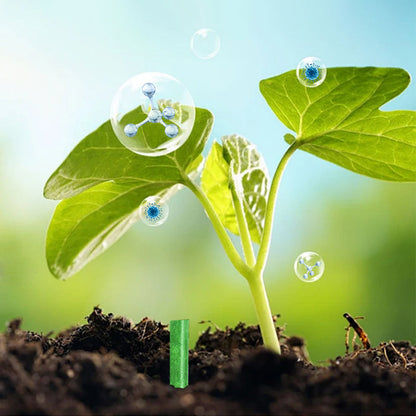 Slow-Release Plant Fertilizer Sticks for Root-Zone Feeding of Houseplants and Garden Plants