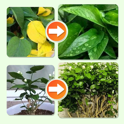 Slow-Release Plant Fertilizer Sticks for Root-Zone Feeding of Houseplants and Garden Plants