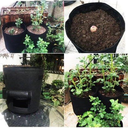 Reusable Plant Grow Bag with Harvest Flap | Breathable Fabric for Vegetables & Herbs