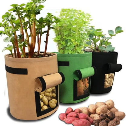 Reusable Plant Grow Bag with Harvest Flap | Breathable Fabric for Vegetables & Herbs
