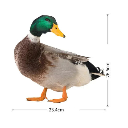 Acrylic Mallard Duck Garden Ornament, Realistic Double Sided Weatherproof Yard and Patio Decoration