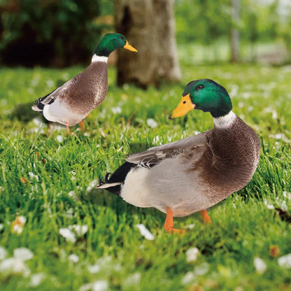 Acrylic Mallard Duck Garden Ornament, Realistic Double Sided Weatherproof Yard and Patio Decoration