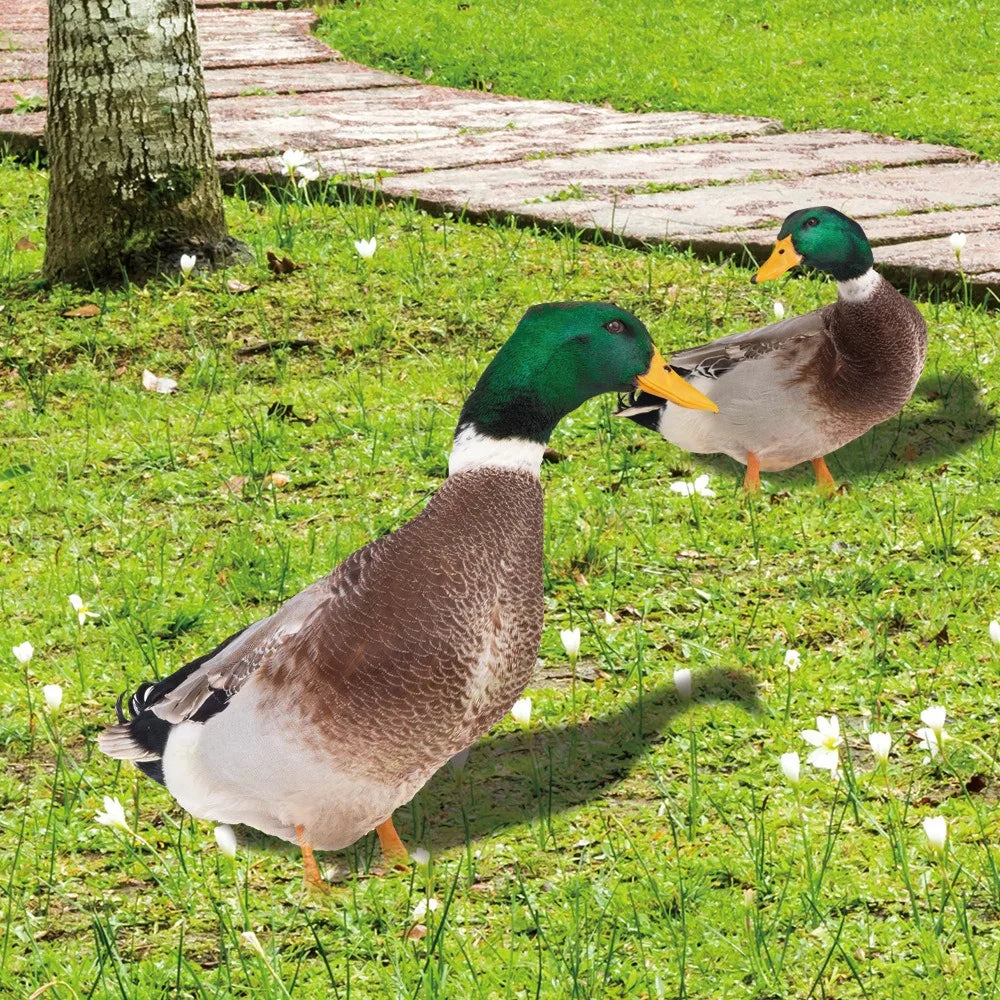 Acrylic Mallard Duck Garden Ornament, Realistic Double Sided Weatherproof Yard and Patio Decoration