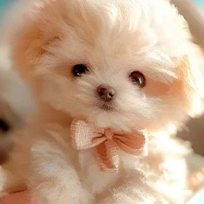 Interactive Plush Puppy Toy