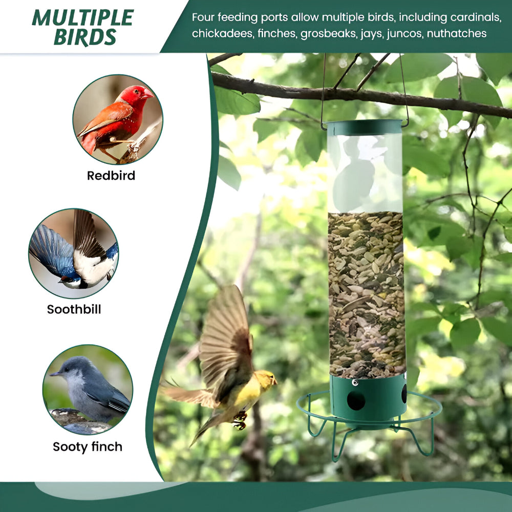 Squirrel Proof Bird Feeder
