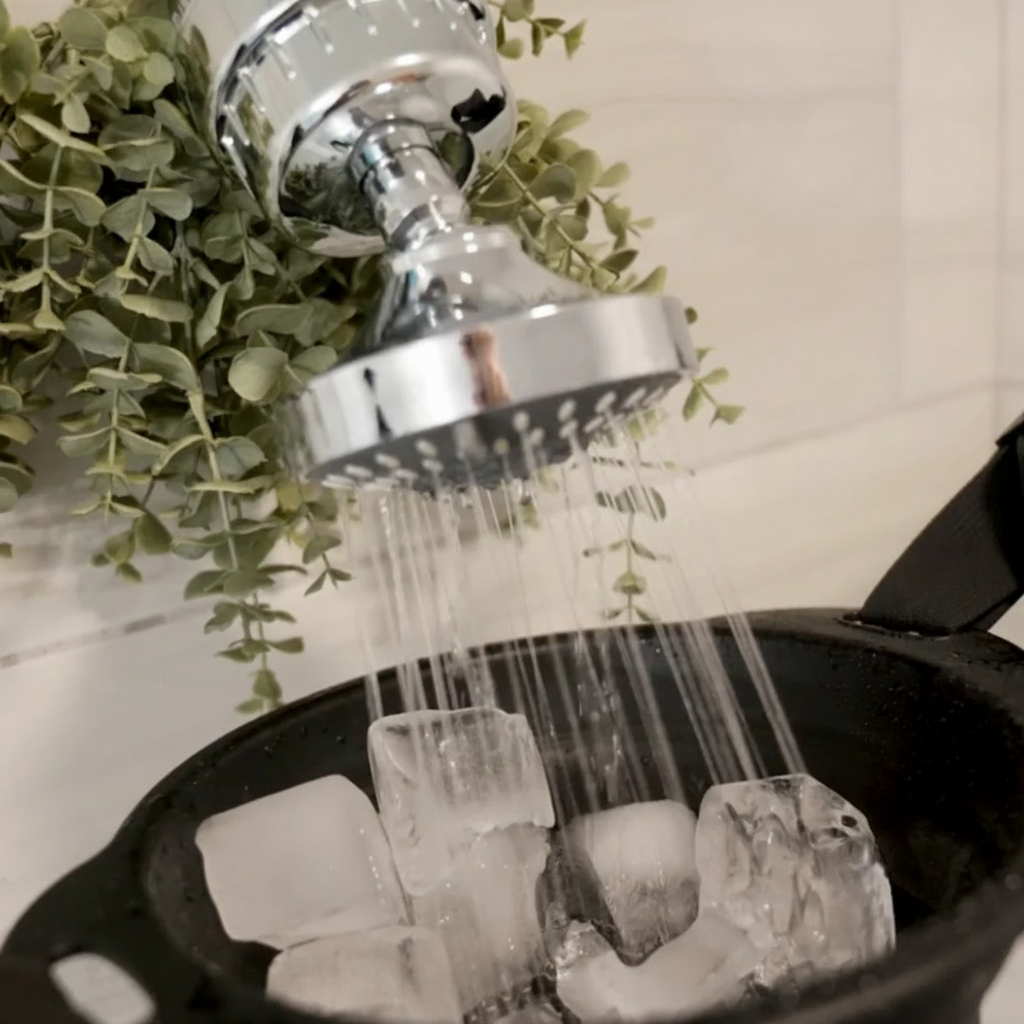 Cold Plunge Shower System