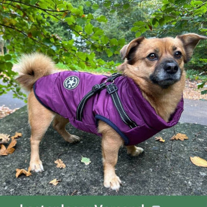 DryPaw Waterproof Dog Coat with Fleece Lining, Built-In Harness and Reflective Hood
