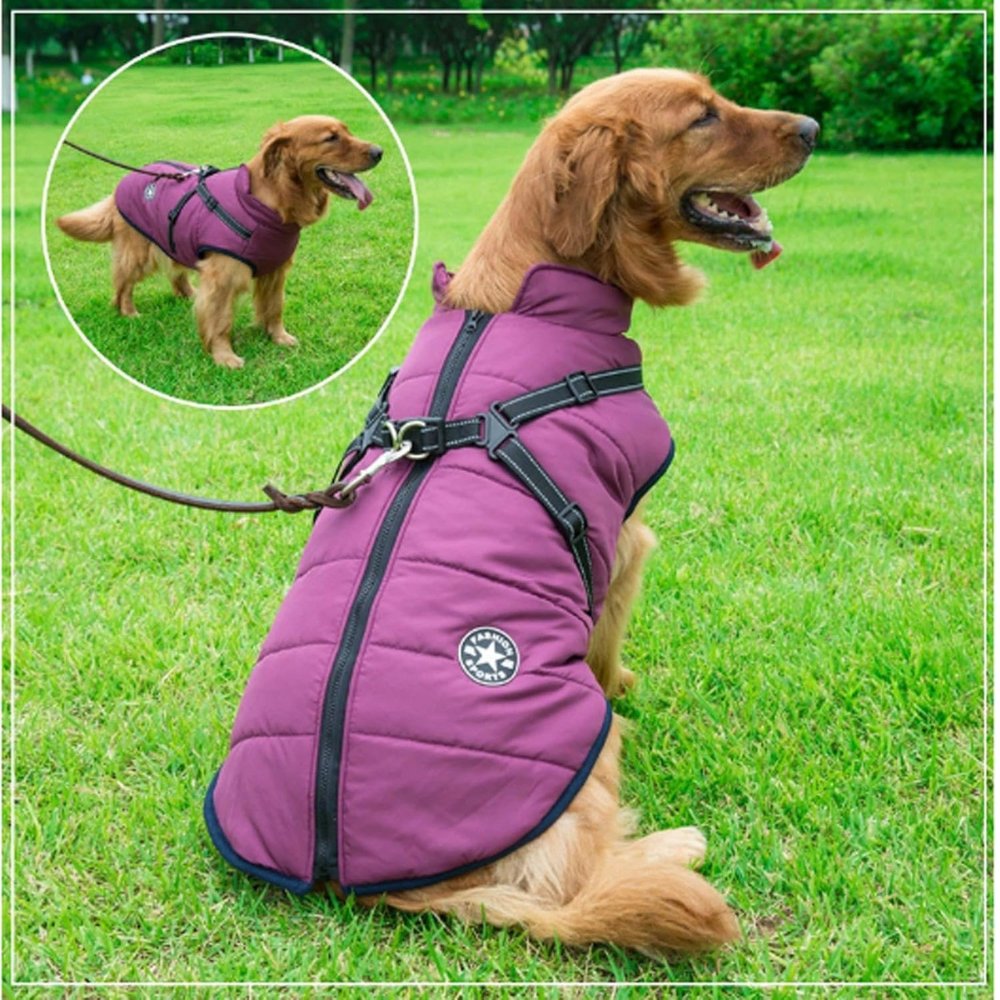 DryPaw Waterproof Dog Coat with Fleece Lining, Built-In Harness and Reflective Hood