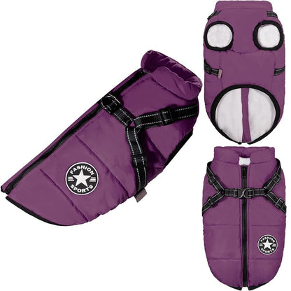 DryPaw Waterproof Dog Coat with Fleece Lining, Built-In Harness and Reflective Hood
