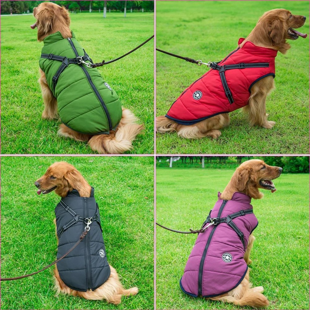 DryPaw Waterproof Dog Coat with Fleece Lining, Built-In Harness and Reflective Hood