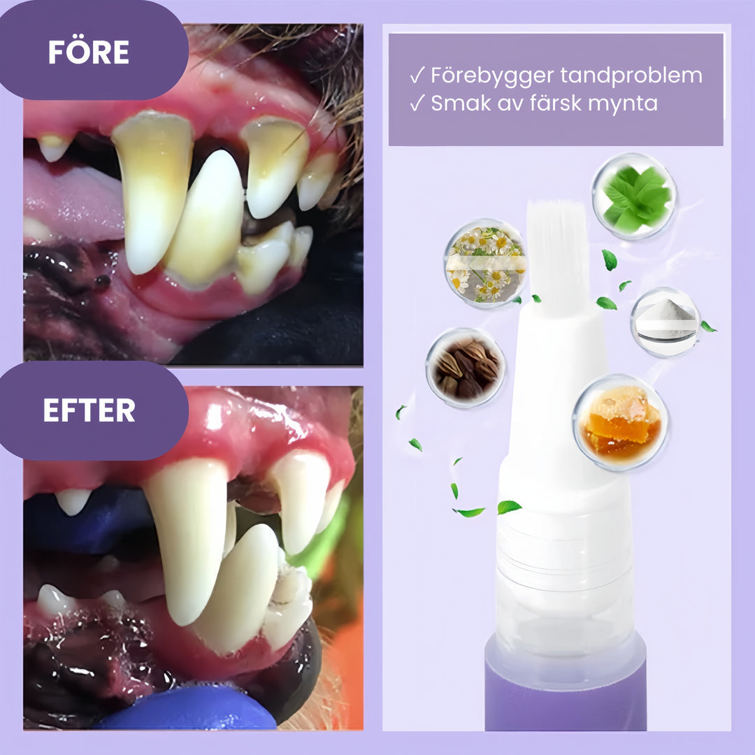 FreshBite Pet Dental Pen for Stress-Free Tartar Control and Fresher Pet Breath Care