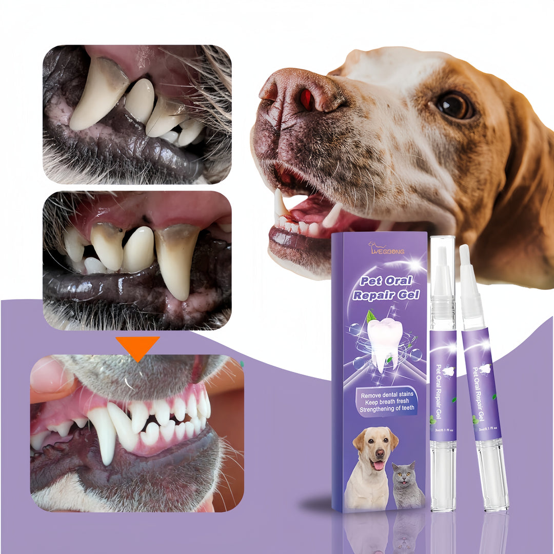 FreshBite Pet Dental Pen for Stress-Free Tartar Control and Fresher Pet Breath Care