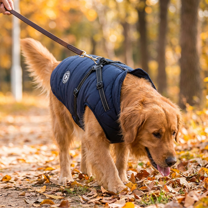 DryPaw Waterproof Dog Coat lifestyle image