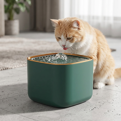 Ultra-Quiet 3L Pet Water Fountain with Filtered Flow and USB-Powered Pump System