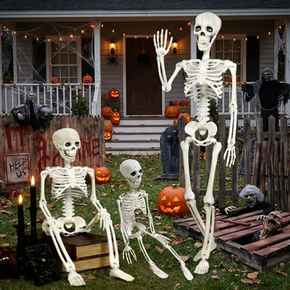 Posable Halloween Skeleton Decoration, Fully Articulated Skeleton Prop, 4 Sizes, 40 cm to 165 cm
