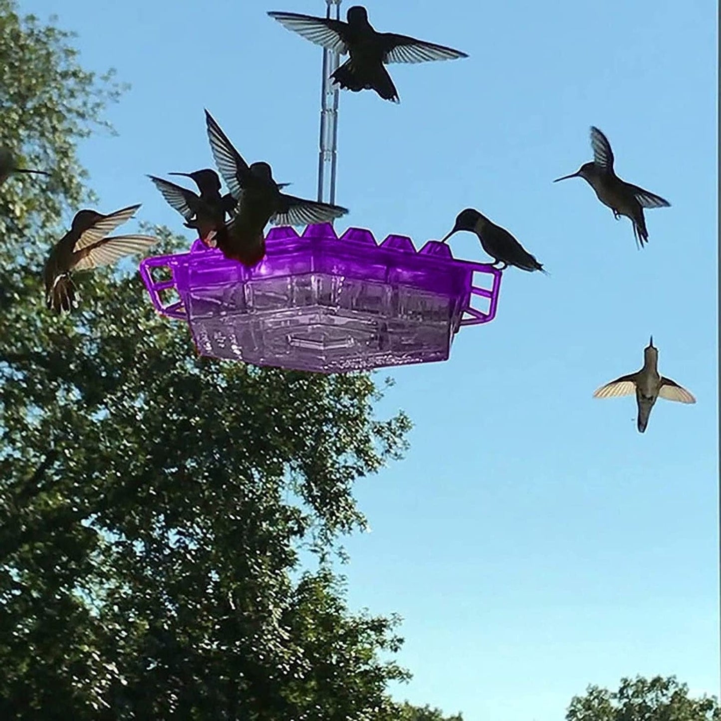 Hanging Hummingbird Feeder