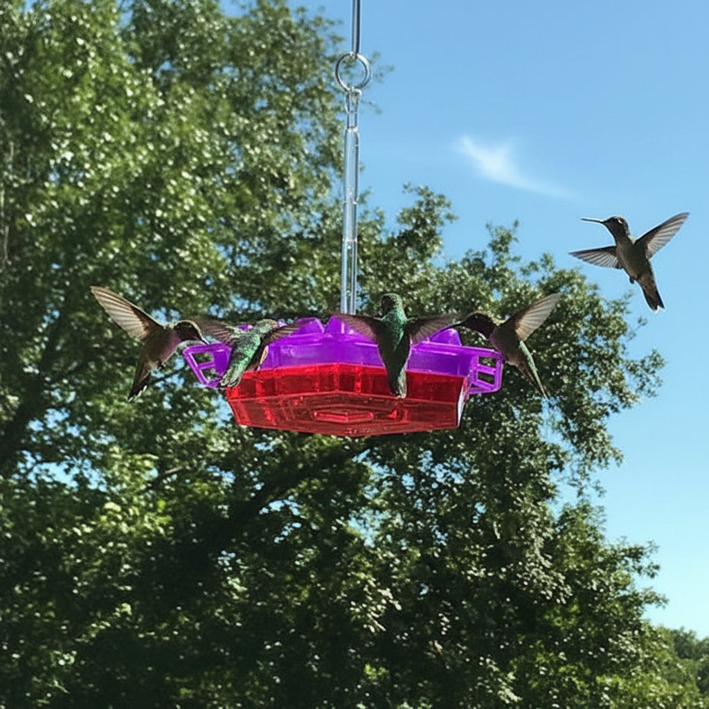 Hanging Hummingbird Feeder
