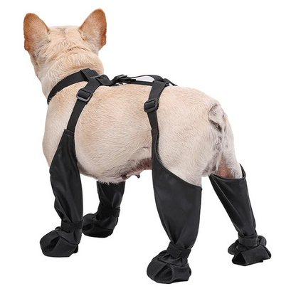 Adjustable Dog Shoes - Breathable, Waterproof & Non-Slip Boots for Small to Medium Dogs