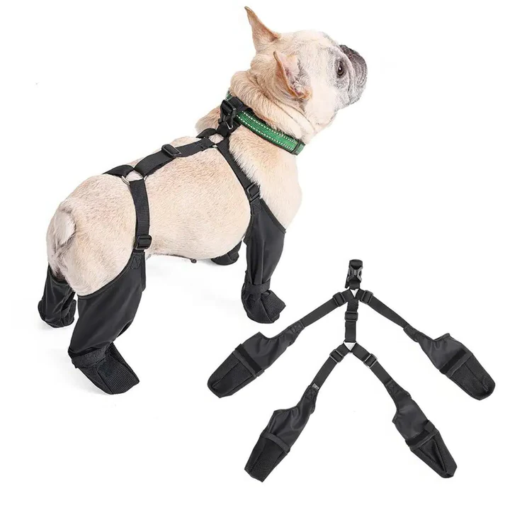 Adjustable Dog Shoes - Breathable, Waterproof & Non-Slip Boots for Small to Medium Dogs