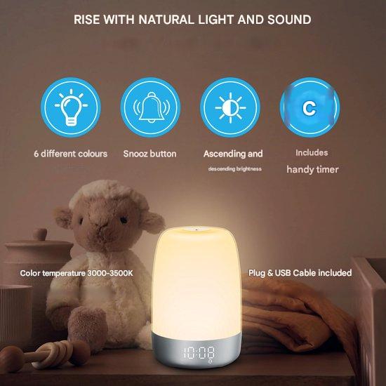 Aurora Wake-Up Light Alarm Clock with Natural Sounds, Dimmable Night Light & Dual Alarm
